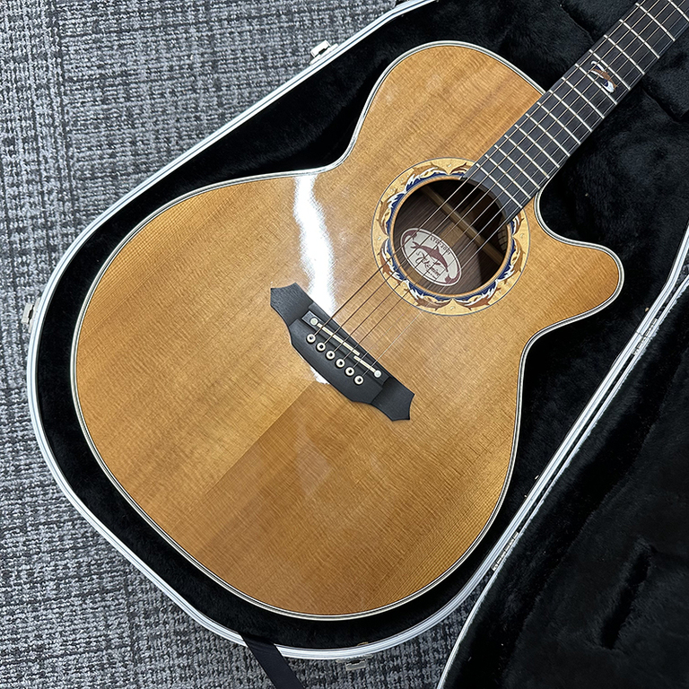 takamine-ltd2001---