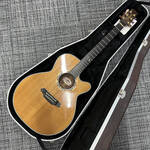 takamine-ltd2001---