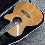 takamine-ltd2001---