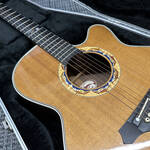 takamine-ltd2001---